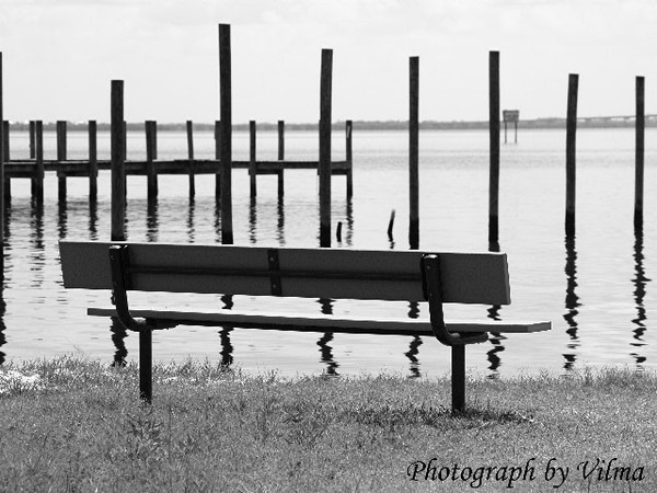 Untitled (Bench View of River)