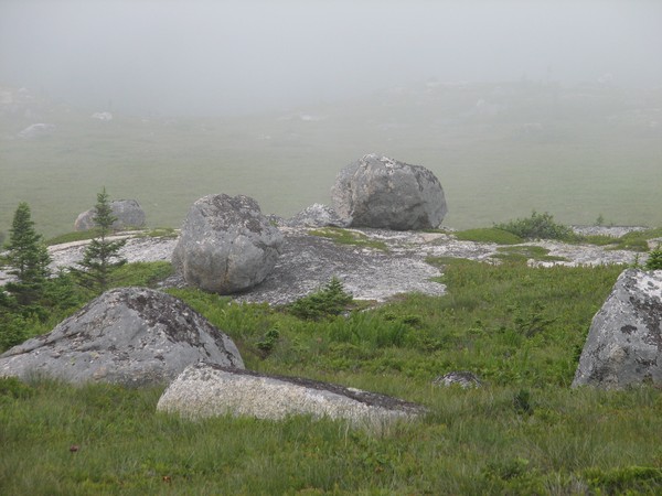 Misty Peggy's cove preservation area