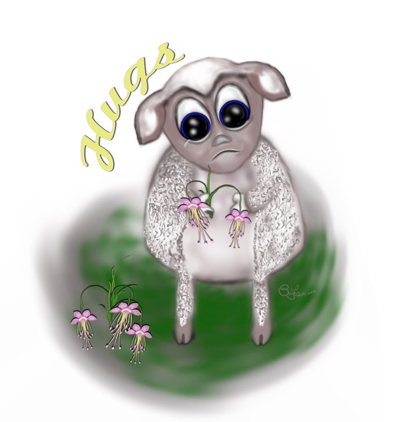 Sheep need love too