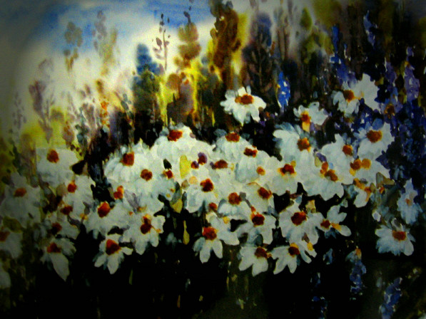 daisies