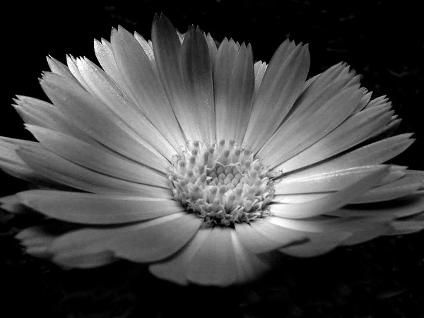 Light_and_shadow_2
