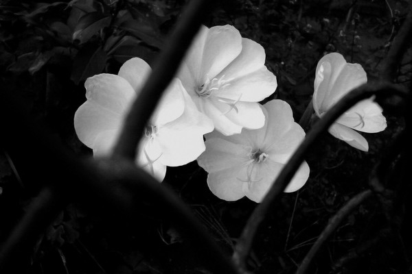 Light_and_shadow_4