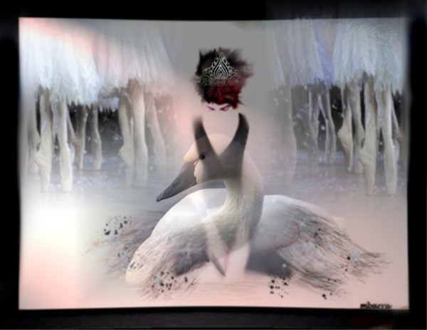 Swan Lake