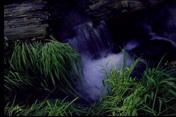 Mountain Stream