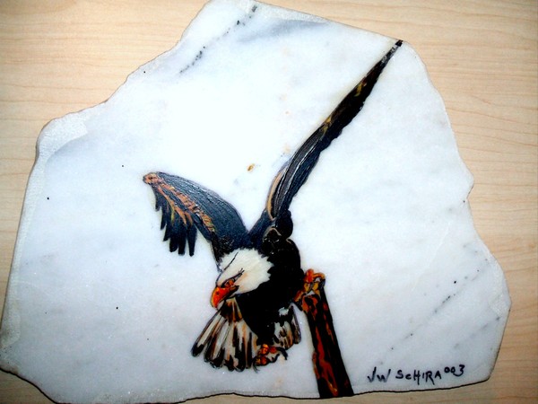 Eagle