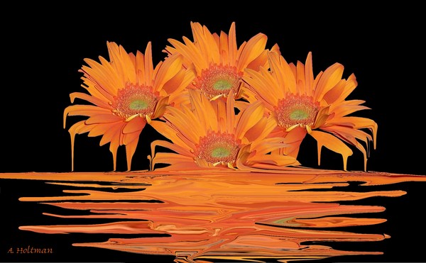 Orange Serbet