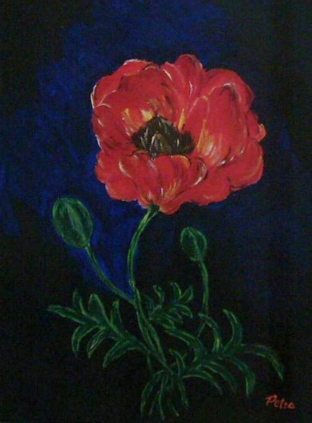 Poppy