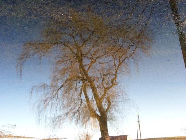 reflections