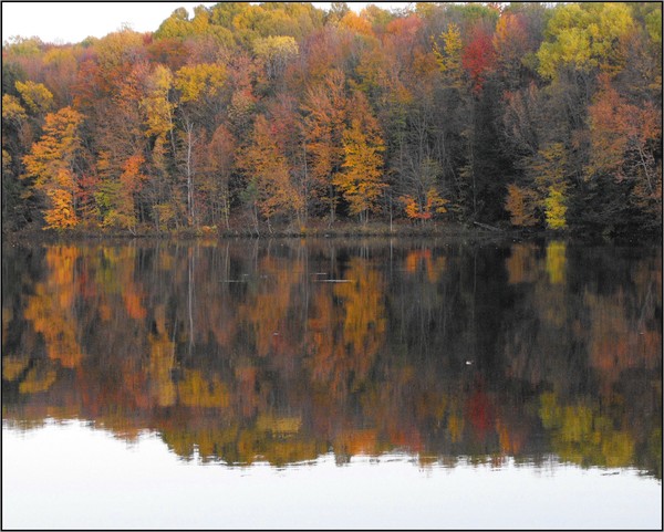 Natures Canvas