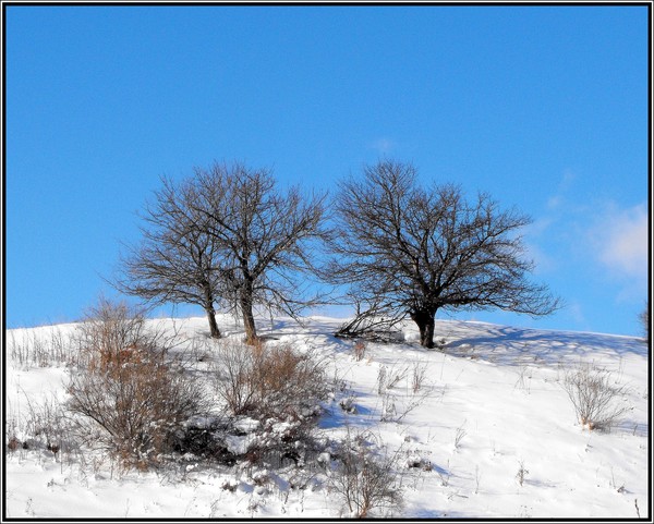 The Three Sisters