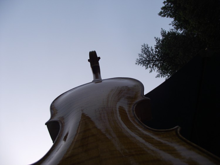 violin detail 4