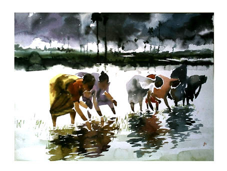 rain6