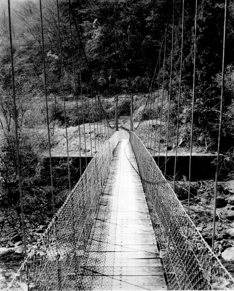 Crossing Over