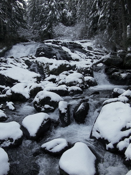 Snowy Cataract Creek 