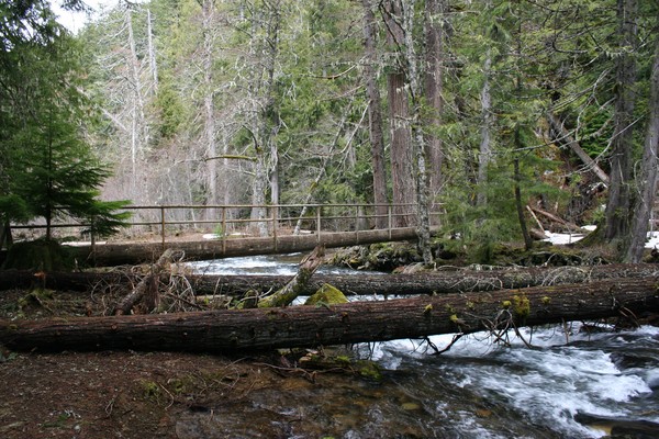 Foot Bridge @ Second Greenwater Lake