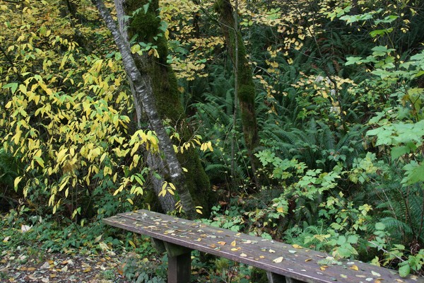 A Brilliant Fall