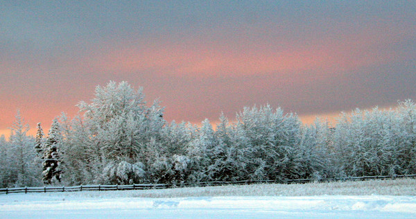 Sunset at Creamer's Field