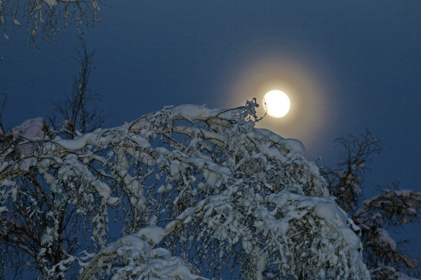 Full Moon Fever