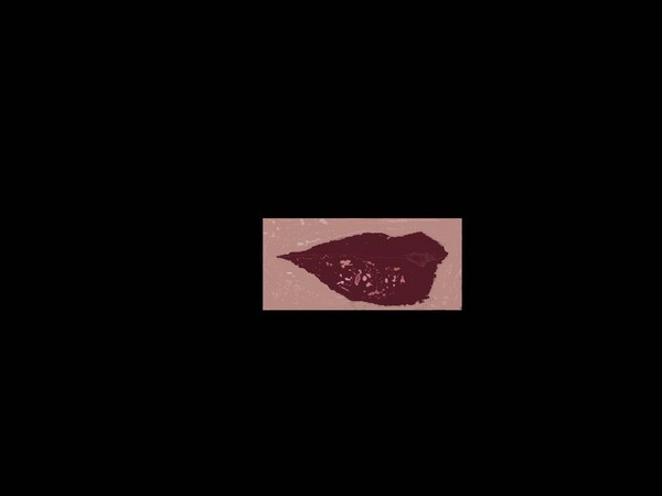 Lara's Lips