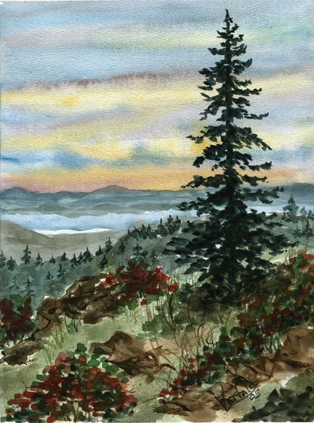 Lone Pine Tree