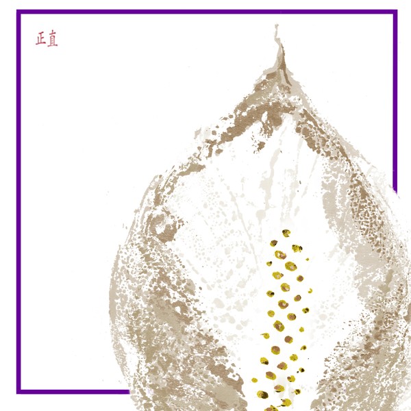 Peace Lily