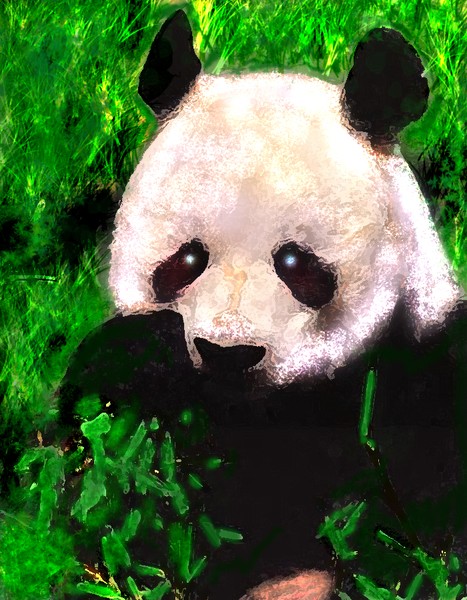 GIANT CHINESE PANDA FEASTING ON BAMBOO