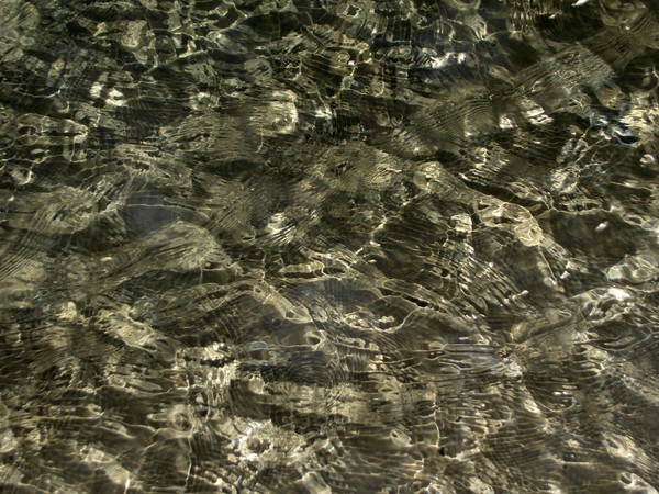 Reflections