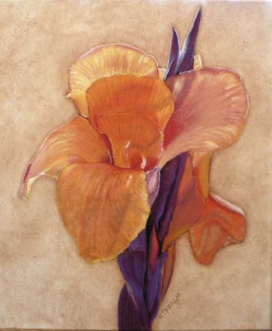 Canna-Lilly