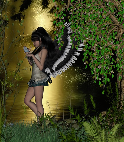 Butterfly