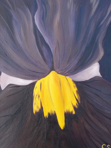Iris