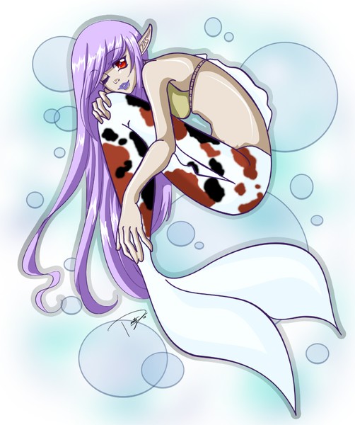 Koi