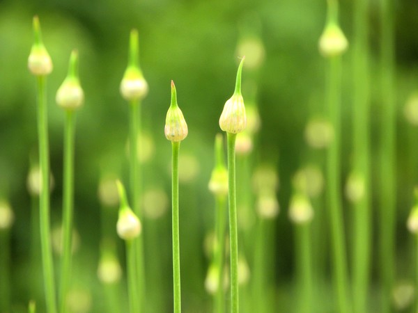 My photo blog_6 image 6.19
