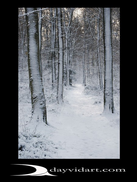 Eartham woods
