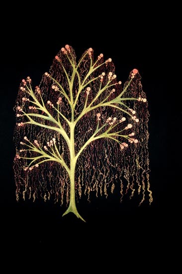 Tree of Life I, 2006