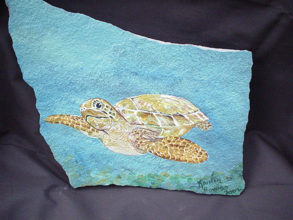 Sea Turtle