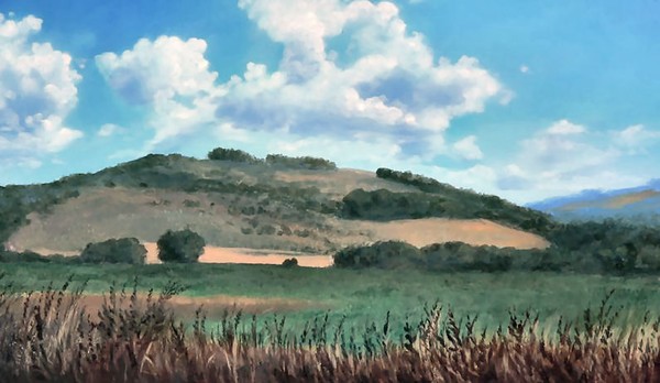 landscape