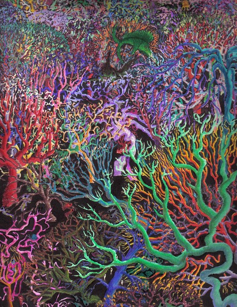 Submerged forrest