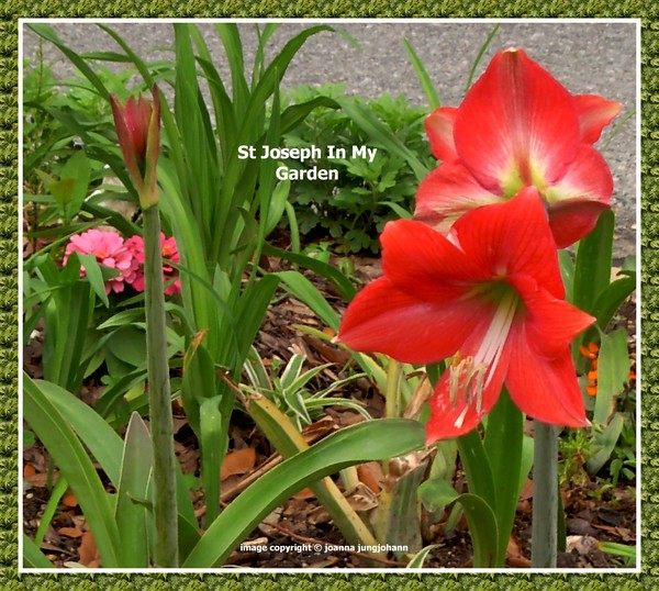 St Joseph In My Garden