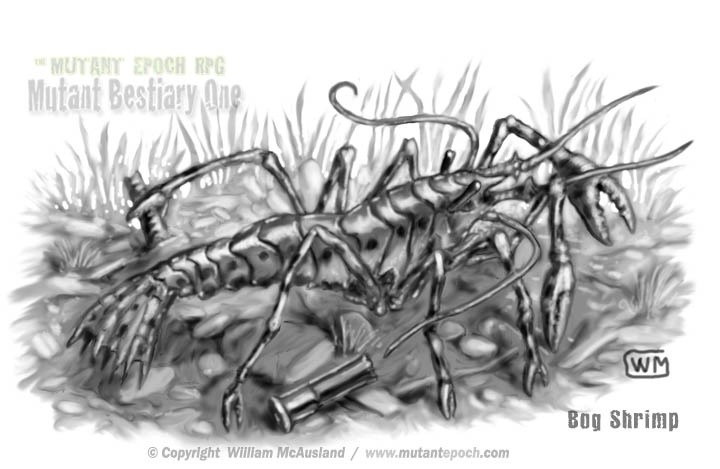 Bog Shrimp