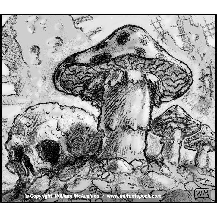 Acidic Mutant Mushroom