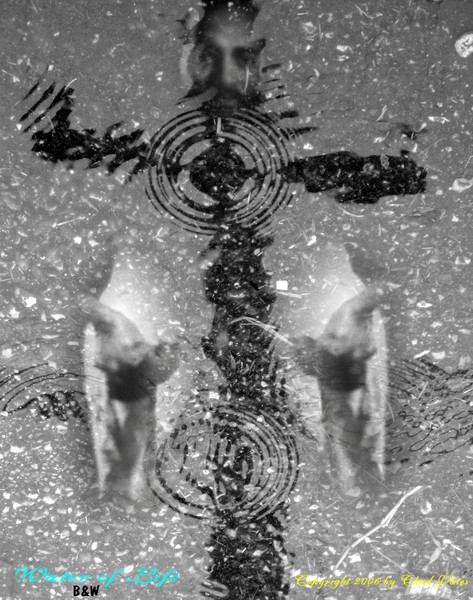 Water of Life (b&w)