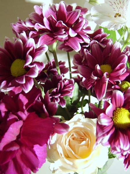 Flowers