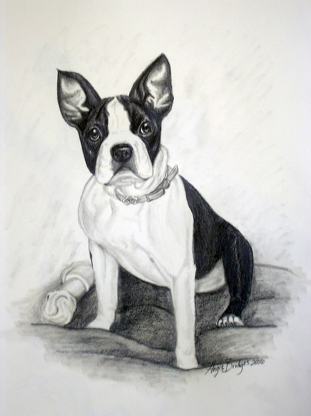 Dog