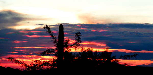 Fire on the Sky