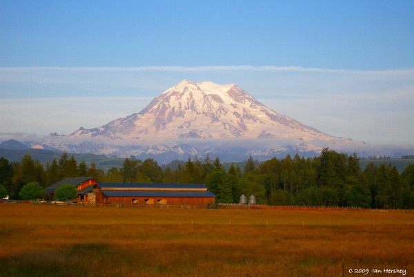 Rainier Valley