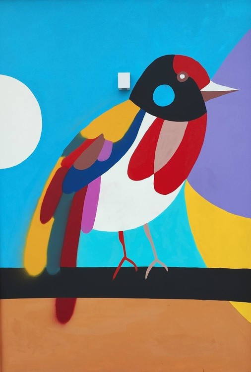 Aves