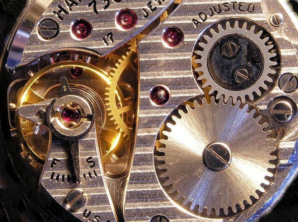 17 jewel movement