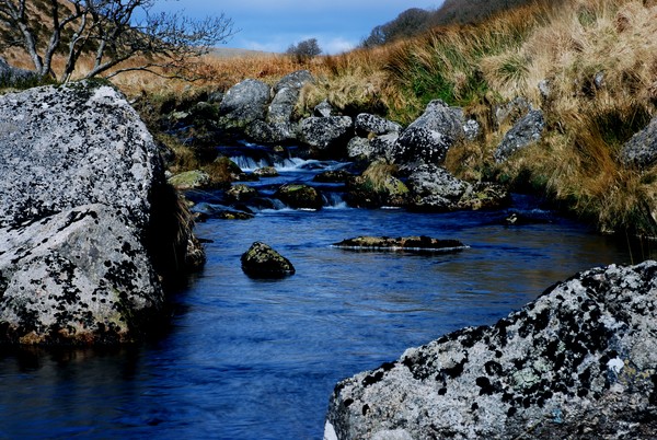 CRYSTAL RIVER