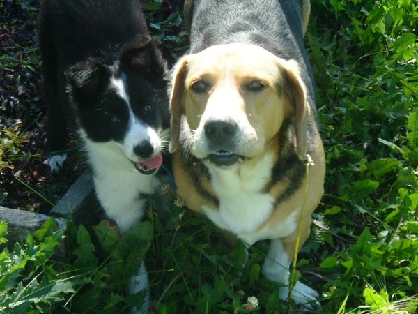 My buddies
