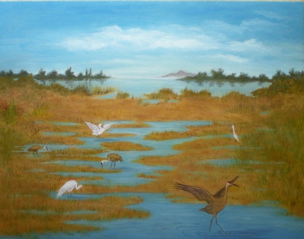 Birds of the Delta